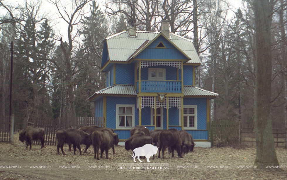 Рисунок2.png