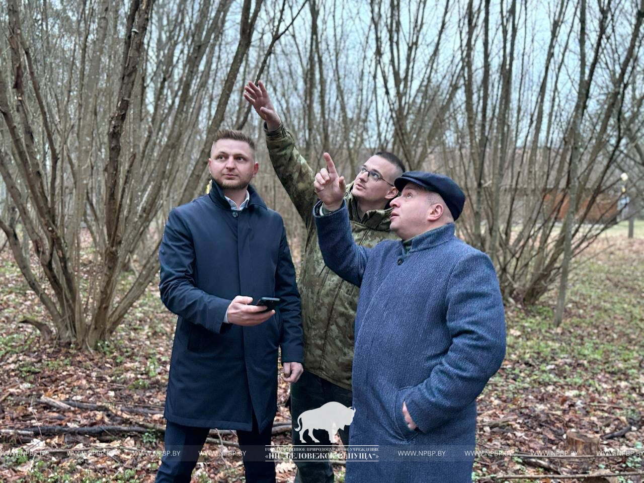 -5382054245273638858_121.jpg -5382054245273638858_121.jpg