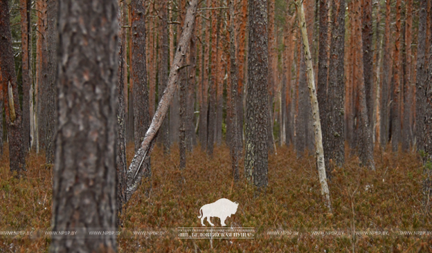 Рисунок3.png Рисунок3.png