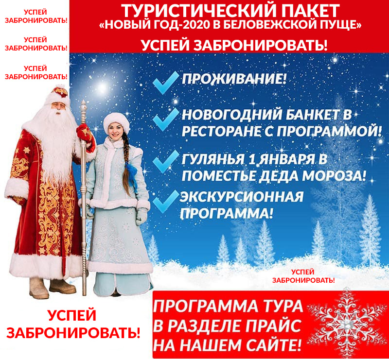 AFISHA_TUR_NOVOGODNYAYA_SKAZKA_frg.jpg