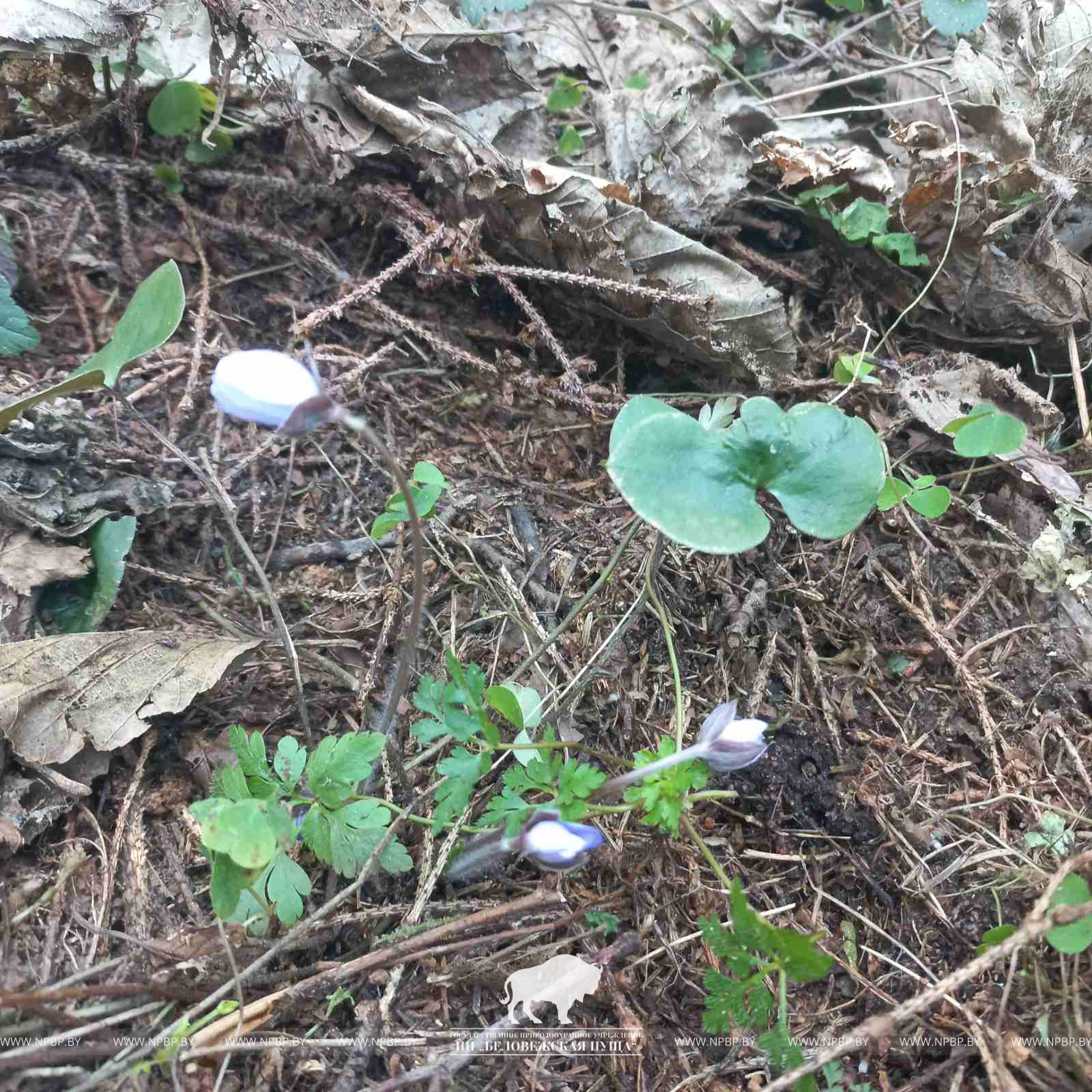 20260327_114917.jpg 20260327_114917.jpg