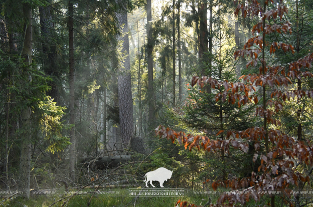 Рисунок2.png Рисунок2.png