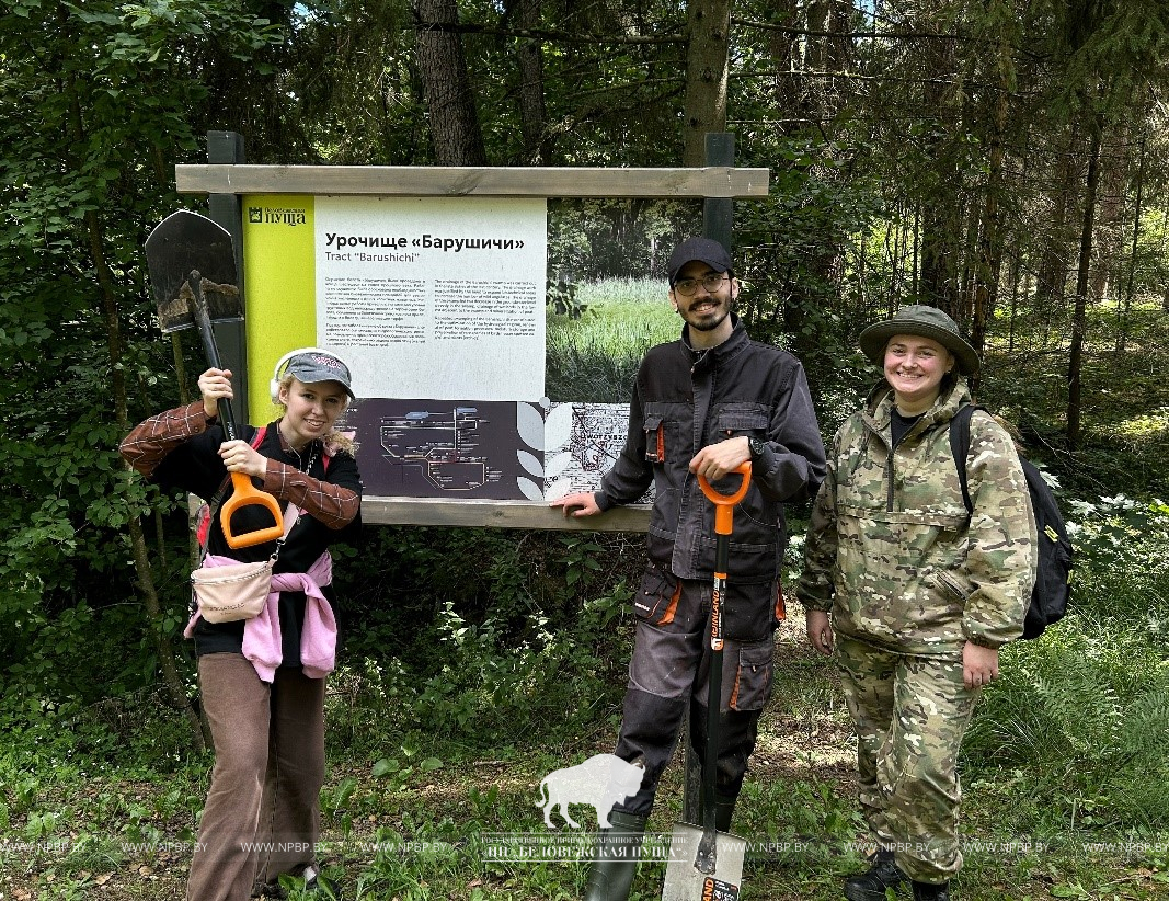 ХХ.jpg