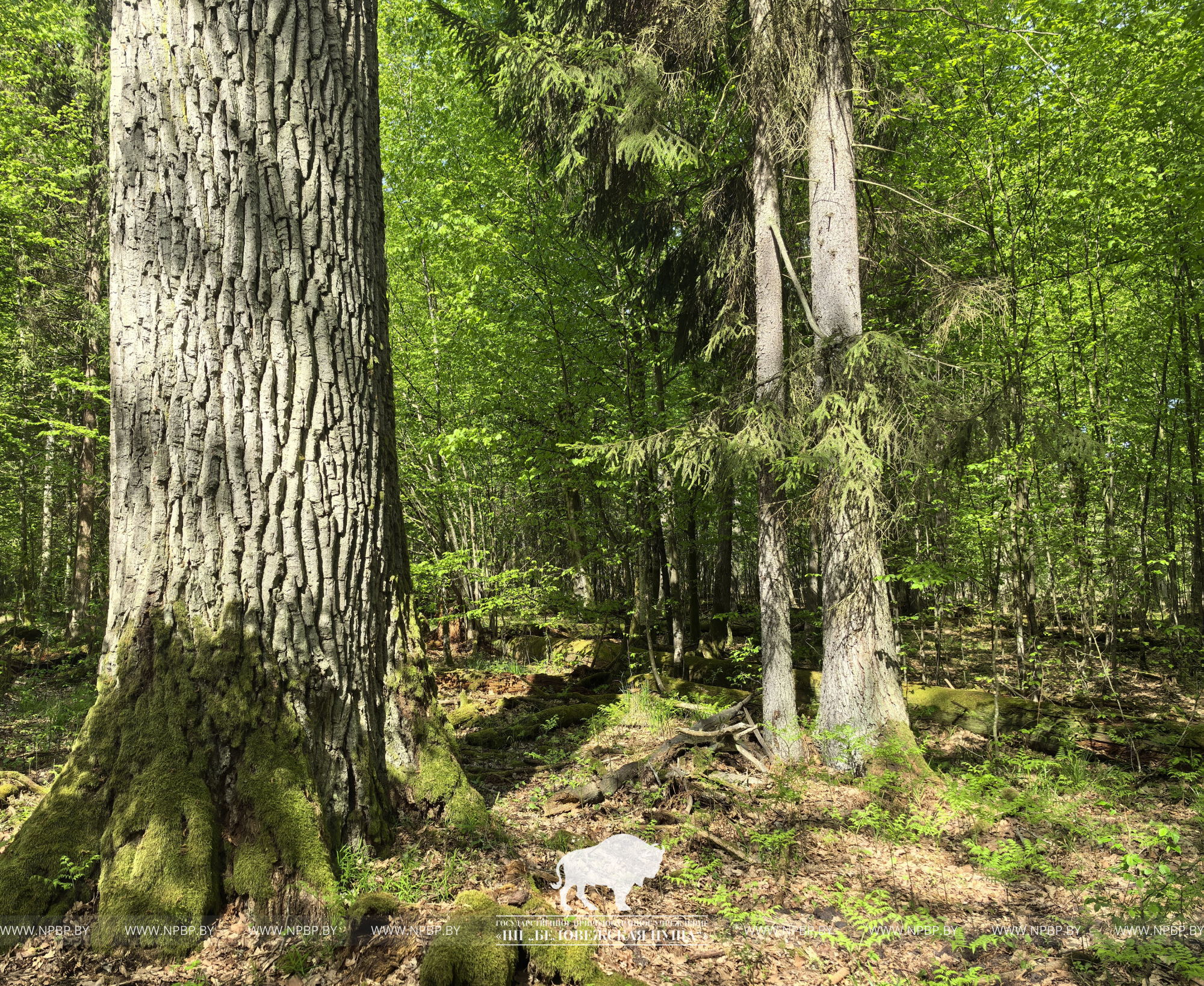 IMG_20260512_105439 (1).jpg