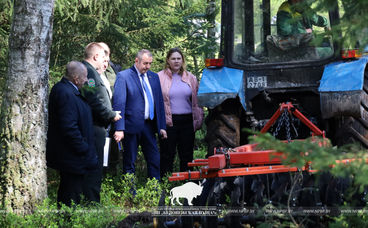 На базе Беловежской пущи проведен семинар лесохозяйственных учреждений Управления делами Президента Республики Беларусь