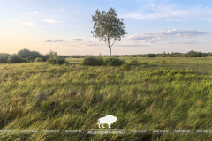 Всемирный день водно-болотных угодий