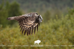 Всемирный день водно-болотных угодий