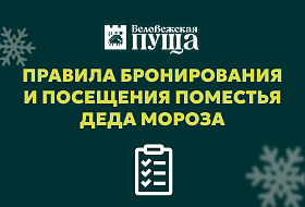 Правила бронирования и посещения Поместья Деда Мороза! 