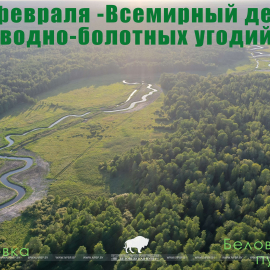 Всемирный день водно-болотных угодий