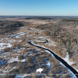 14 марта – Международный день действий в защиту рек