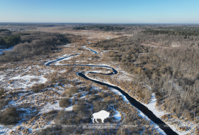 14 марта – Международный день действий в защиту рек