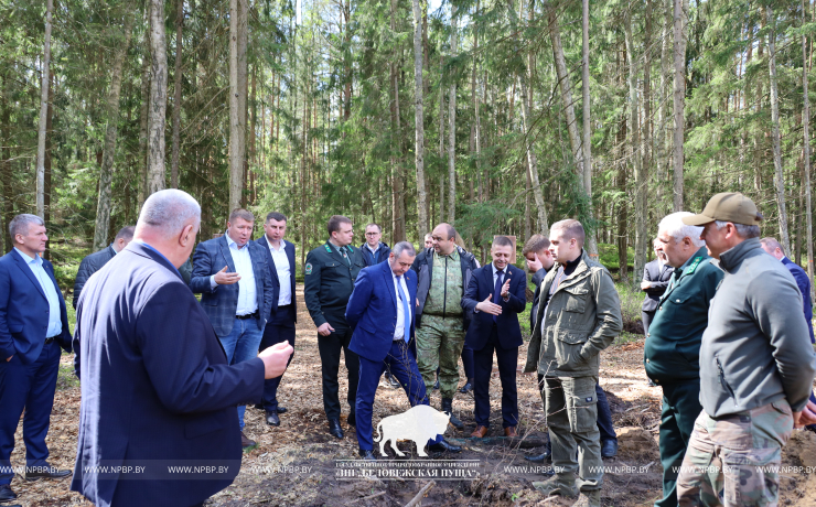 На базе Беловежской пущи проведен семинар лесохозяйственных учреждений Управления делами Президента Республики Беларусь