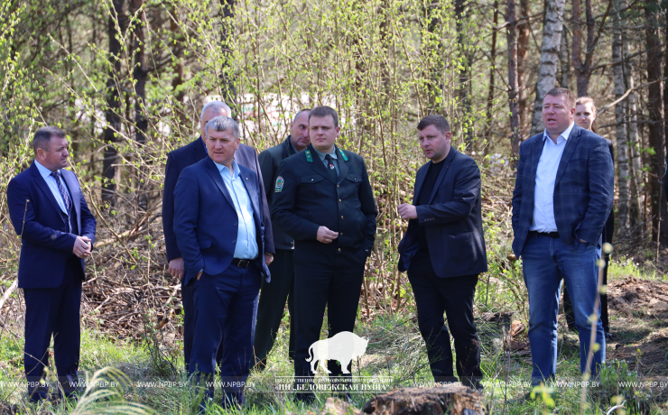 На базе Беловежской пущи проведен семинар лесохозяйственных учреждений Управления делами Президента Республики Беларусь