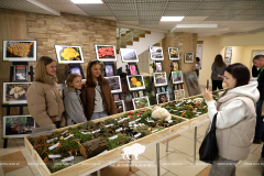 Грибные выходные в Беловежской пуще