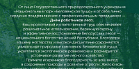 Поздравление с Днём работников леса 2025