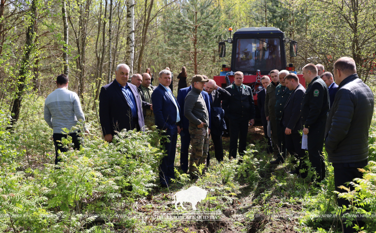На базе Беловежской пущи проведен семинар лесохозяйственных учреждений Управления делами Президента Республики Беларусь