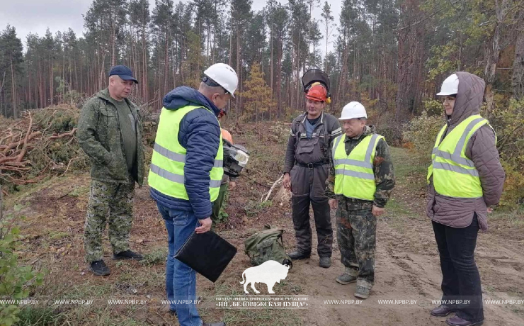 Охрана труда