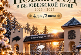 Новый год в Беловежской пуще