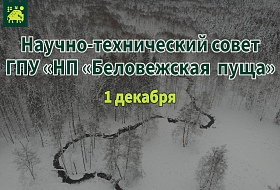 Заседание Научно-технического совета ГПУ НП «Беловежская пуща»