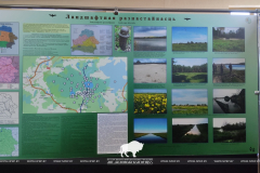 Концепция развития Выгонощанского озера