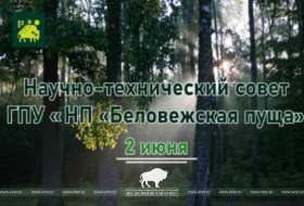 2 июня заседание Научно-технического совета