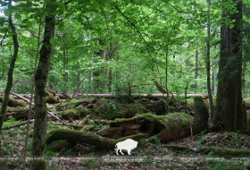 Полезные-вредные насекомые 