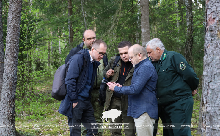 На базе Беловежской пущи проведен семинар лесохозяйственных учреждений Управления делами Президента Республики Беларусь