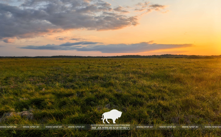 Всемирный день водно-болотных угодий