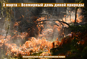 3 марта – Всемирный день дикой природы 
