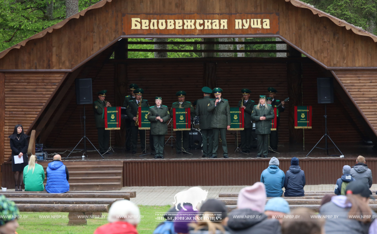 Велопробег «Дорога памяти» в Беловежской пуще: дань уважения 80-летию Победы в Великой Отечественной войне