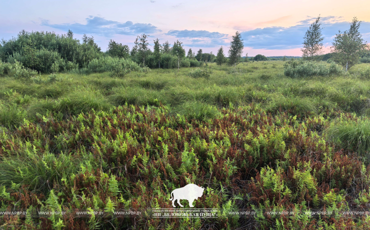 Всемирный день водно-болотных угодий