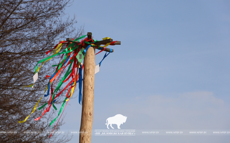 Масленица 2026