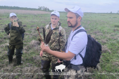 В Беловежской пуще прошёл волонтёрский лагерь  по мониторингу численности вертлявой камышевки!